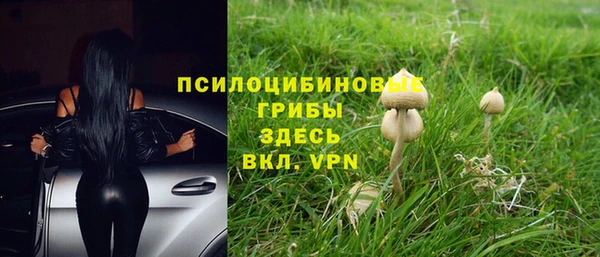 гидропоника Балахна