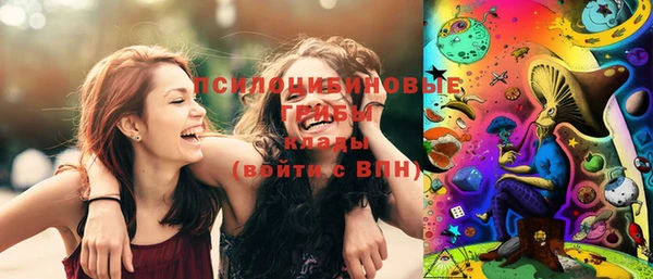 винт Протвино